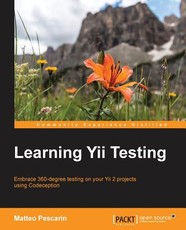 Learning Yii Testing