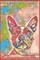 Boston Terrier