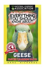 Everything You Should Know About