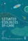 Situated Ecologies of Care
