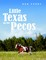 Little Texas On the Pecos