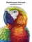 Rainforest Animals Coloring Book for Grown-Ups 1
