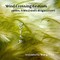 Wind Crossing Grasses