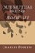Our Mutual Friend (Book III)