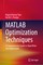 MATLAB Optimization Techniques