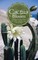 Cactus Bloom