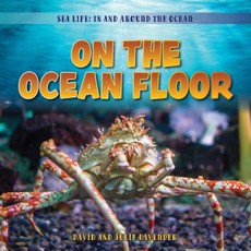 On the Ocean Floor