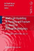 Multiscale Modelling of Plasticity and Fracture by Means of Dislocation Mechanics
