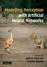 Modelling Perception with Artificial Neural Networks