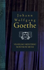 Vilhelmo Meisterio mokymosi metai Vilhelmo Meisterio mokymosi metai