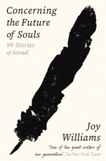 Concerning the Future of Souls