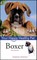 Boxer
