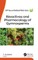 Bioactives and Pharmacology of Gymnosperms