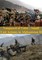 Vanguard Of Valor : Small Unit Actions In Afghanistan Vol. II [Illustrated Edition]