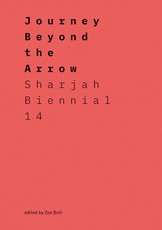 Journey Beyond the Arrow