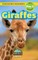 Giraffes