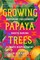 Growing Papaya Trees