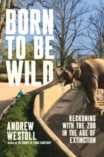 Born to Be Wild