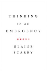 Thinking in an Emergency (Norton Global Ethics Series)