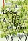Growing Architecture