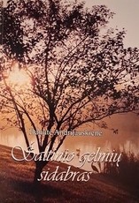 Šaltinio gelmių sidabras