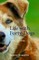 Life with Forty Dogs