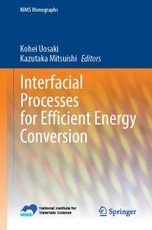 Interfacial Processes for Efficient Energy Conversion