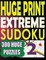 Huge Print Extreme Sudoku 2