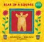 Bear in a Square