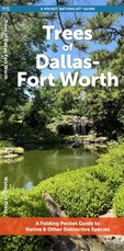 Trees of Dallas-Fort Worth