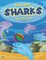 How to Draw Sharks Step-by-Step Guide