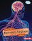 How Your Nervous System Works