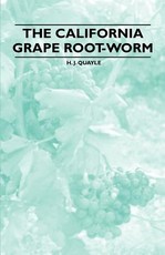 The California Grape Root-Worm