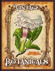 New Creations Coloring Book Series
