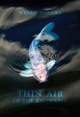 Thin Air of the Knowable