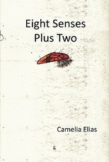 Eight Senses Plus Two