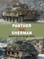 Panther vs Sherman