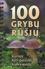 100 grybų rūšių, kurias turi pažinti kiekvienas