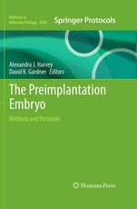 The Preimplantation Embryo