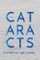 The Cataracts