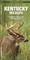Kentucky Wildlife