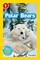Polar Bears