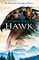 Hawk (el. knyga)