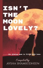 Isn't the moon lovely?
