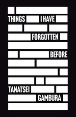 Things I Have Forgotten Before