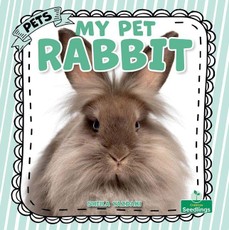 My Pet Rabbit