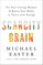 Scarcity Brain