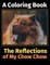 The Reflections of My Chow Chow