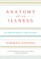Anatomy of an Illness