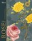 Rhs the Rose